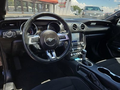 2021 Ford Mustang EcoBoost