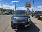 2013 Ford F-150 Platinum